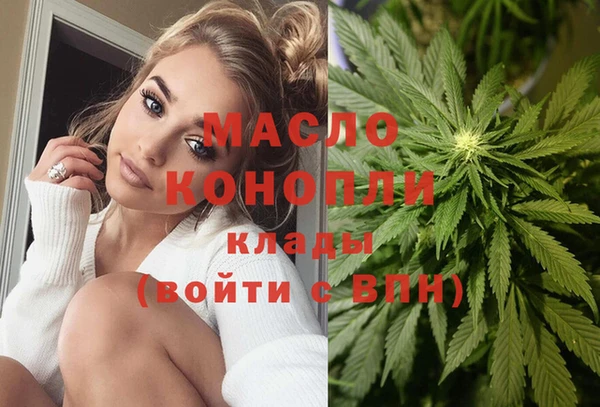 крисы Надым