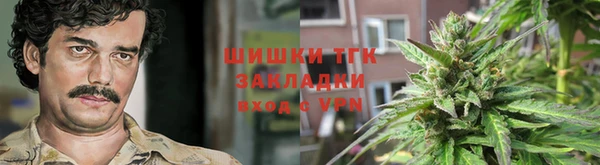 крисы Надым