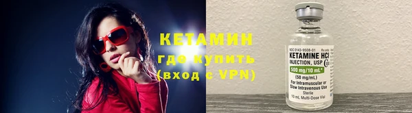 крисы Надым