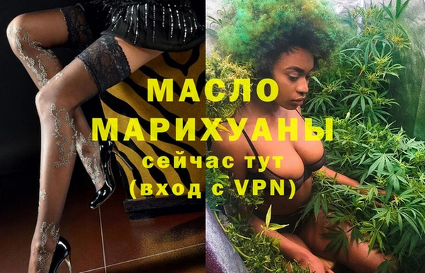 крисы Надым