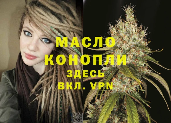 крисы Надым