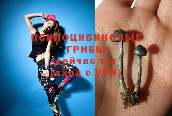 крисы Надым