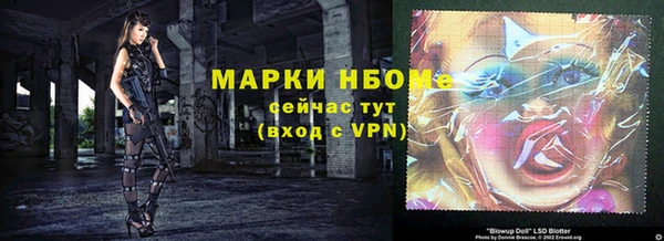 крисы Надым
