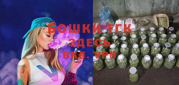 крисы Надым