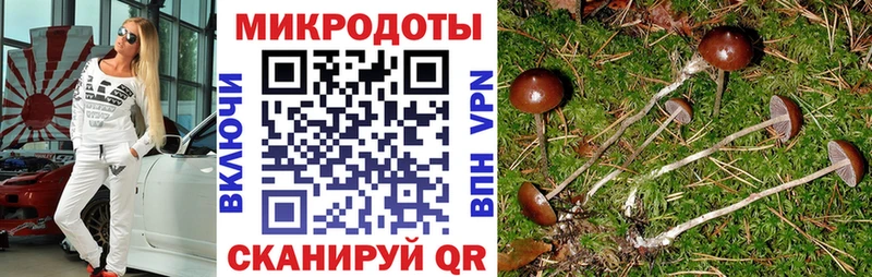 мега Казань Псилоцибиновые грибы Magic Shrooms наркошоп