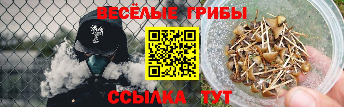 Галлюциногенные грибы ЛСД  Вход с VPN  Казань 