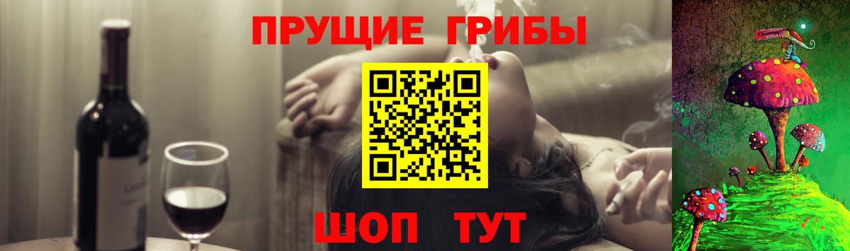 Псилоцибиновые грибы Psilocybe Казань