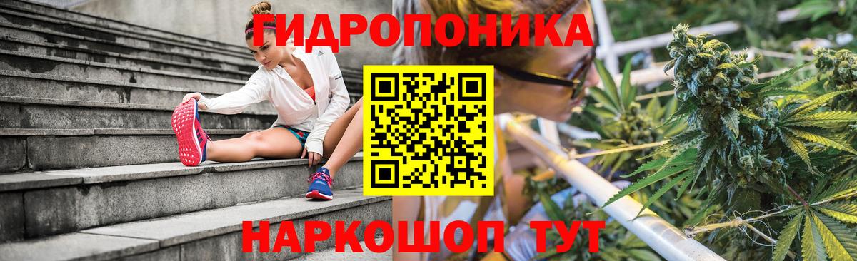 Конопля OG Kush Казань